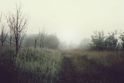 Scenic view of field against sky during foggy weather