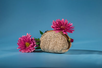 Close-up of flower against blue background