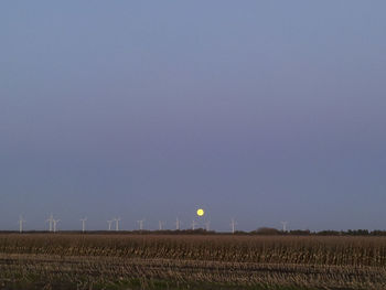 Scenic view of field against clear sky