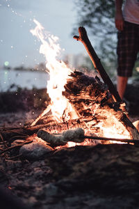 Bonfire on wooden log