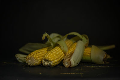 Close-up of crab over black background