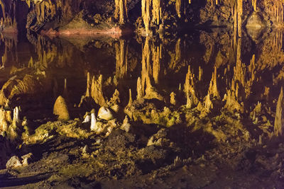 Rock formations in forest