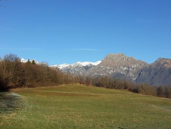 Scenic view of field against clear sky