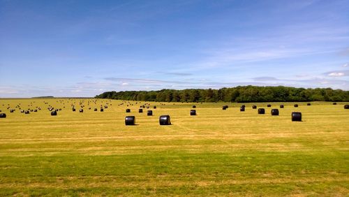 Hay bales on field against sky