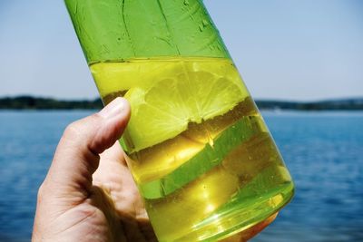 Close-up of hand holding leaf in sea against clear sky