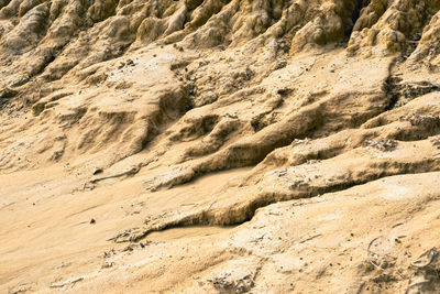 A pile of soil that has been eroded into a large rut when it rains.