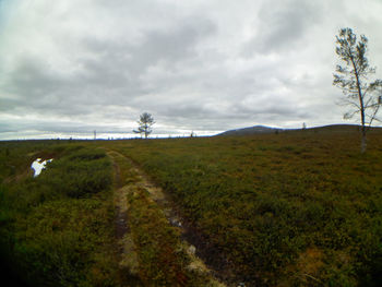 Scenic view of landscape against sky