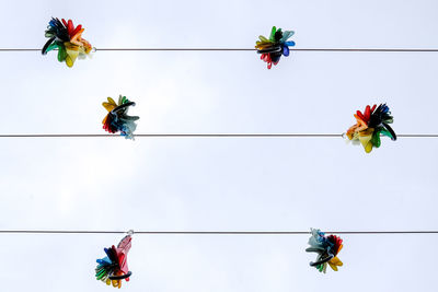 Low angle view of flowering plant against clear sky
