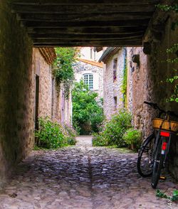 Narrow alley along buildings