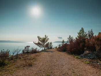 Scenic view of landscape against clear sky