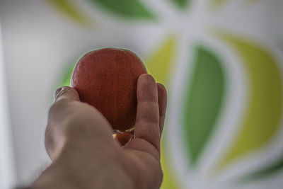 Close-up of hand holding leaf