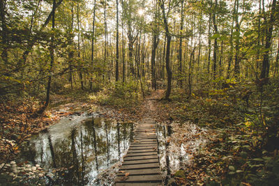 Autumn scene with small river crossed by a wooden walkway covered with autumn leaves and shining sun