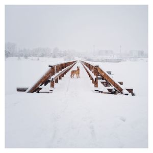 Traditional windmill on snow covered landscape against sky