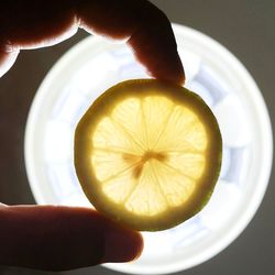 Cropped image of person holding apple