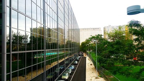 Walkway along trees in city