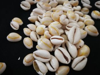 Close-up of beans against black background