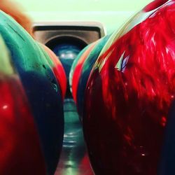 Close-up of red rose