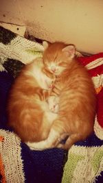 Close-up of cat sleeping on bed at home