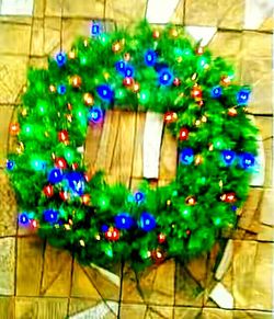 Close-up of multi colored flowers