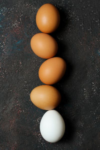 High angle view of eggs on table