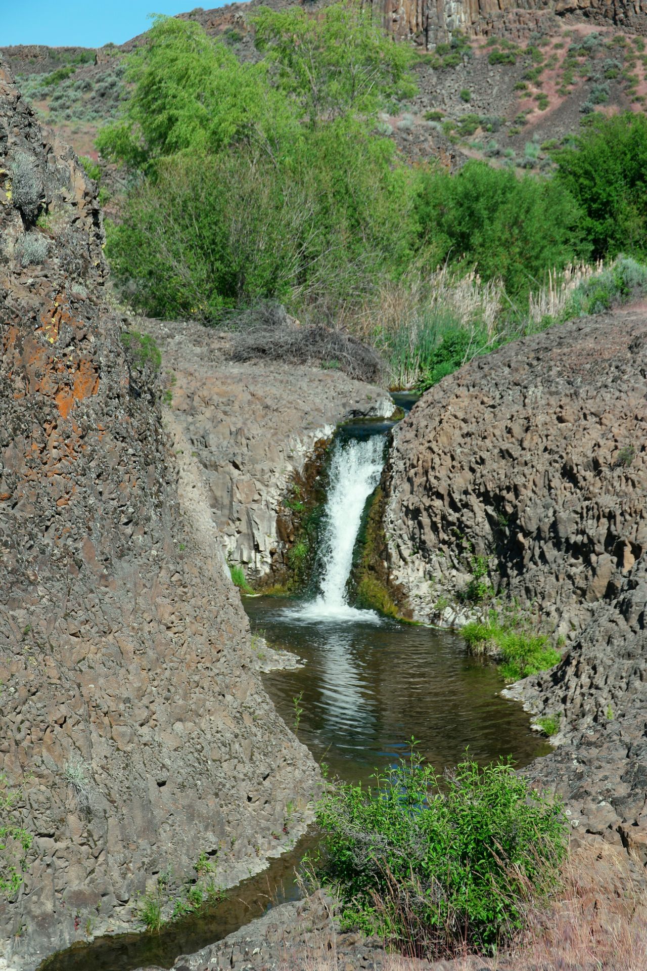 Scablands