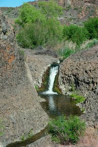 Scenic view of waterfall in forest against sky