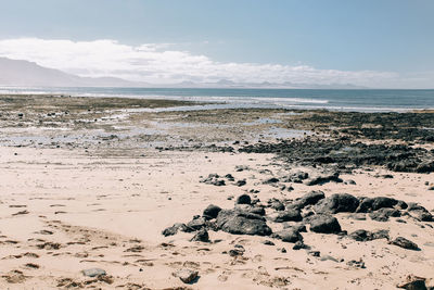 Scenic view of beach against sky