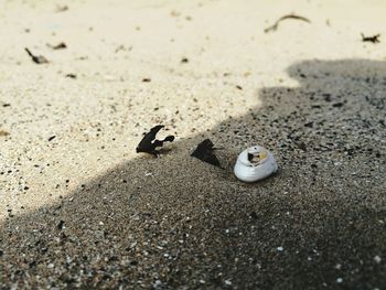 High angle view of sand on beach