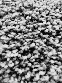 Full frame shot of white background