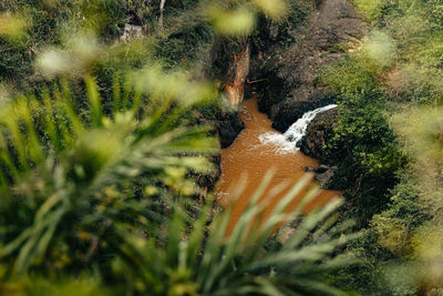 Puerto rico cañon san cristobal mountain landscape views and waterfalls with lake full of greens