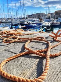 Sailboats moored in harbor