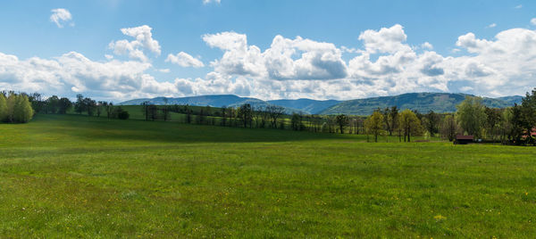 Scenic view of field against sky