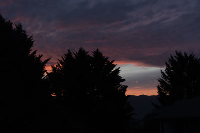 Silhouette trees against sky during sunset