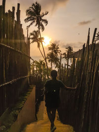 Rear view of man standing by palm trees against sky during sunset