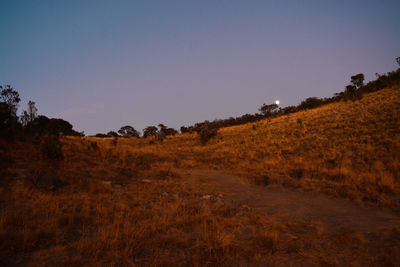 Scenic view of field against clear sky