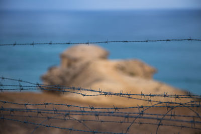 Close-up of barbed wire