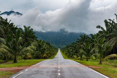 Road amidst trees against sky