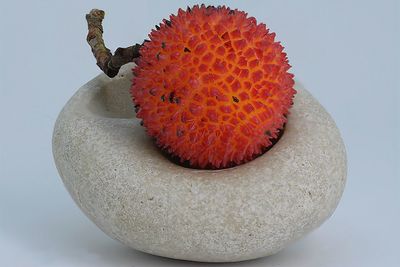 Close-up of fruit on stone against white background