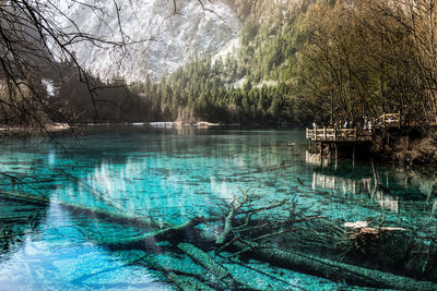Scenic view of lake