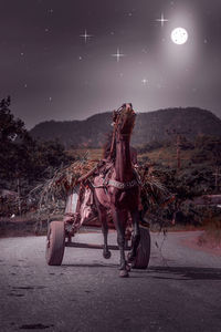Digital composite image of a horse on road at night