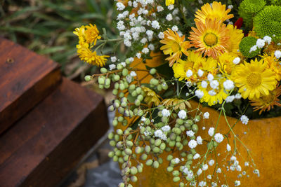 Close-up of flowers blooming outdoors