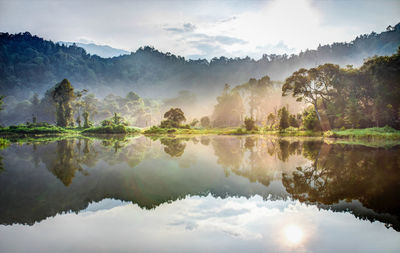 Reflection of trees in lake