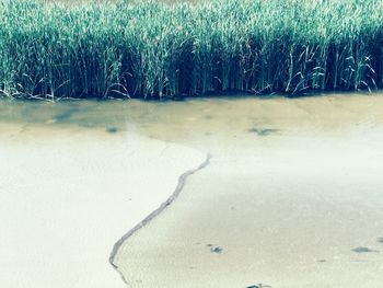 Scenic view of water