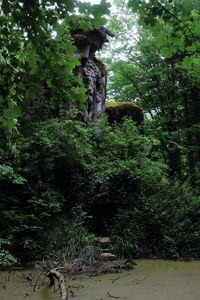 Statue amidst trees in forest