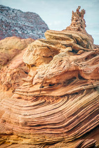 Sorting hat at cottonwood cove, south coyote buttes