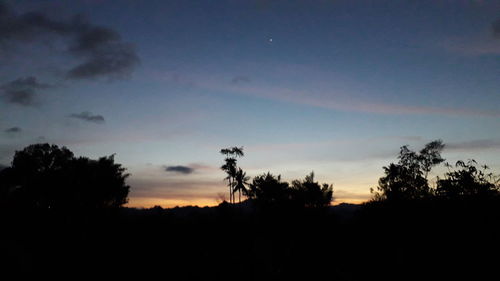 Low angle view of silhouette trees against sky at sunset