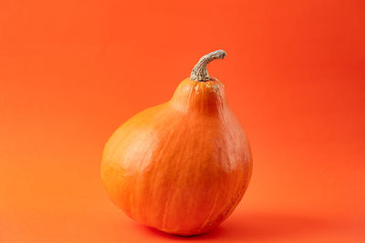 Close-up of apple against orange background