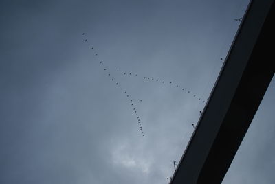 Low angle view of birds flying against sky