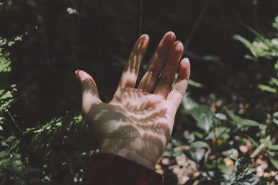 Close-up of hands with leaves shadow