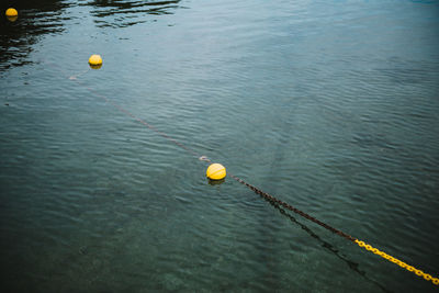 High angle view of ball in water